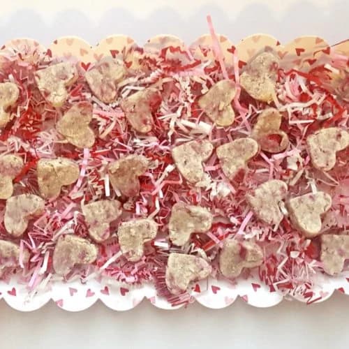 Can Dogs Eat Raspberries?