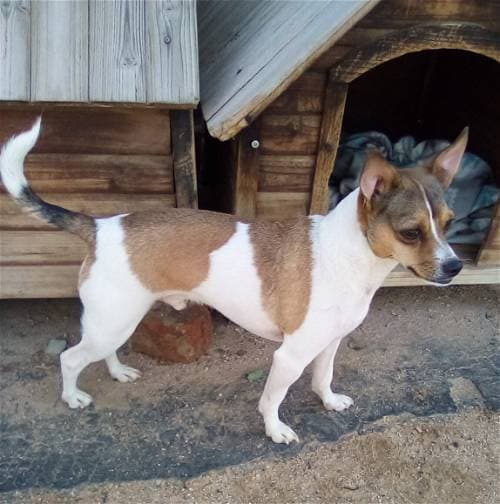 Andy up for Adoption