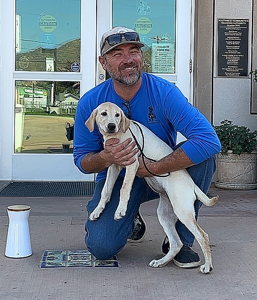 Sitting with dogs - Lindsay