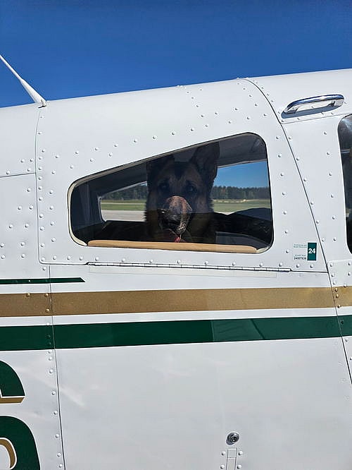 Leola up for Adoption