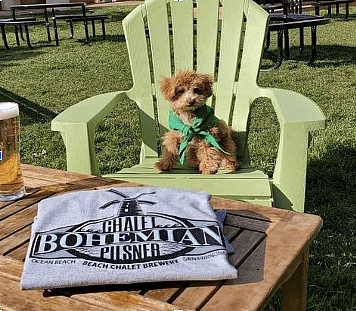 Dog-Friendly Restaurants: San Francisco