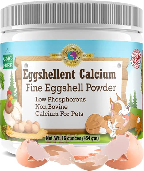 Adding Raw Eggs & Eggshells To Dogs’ Food