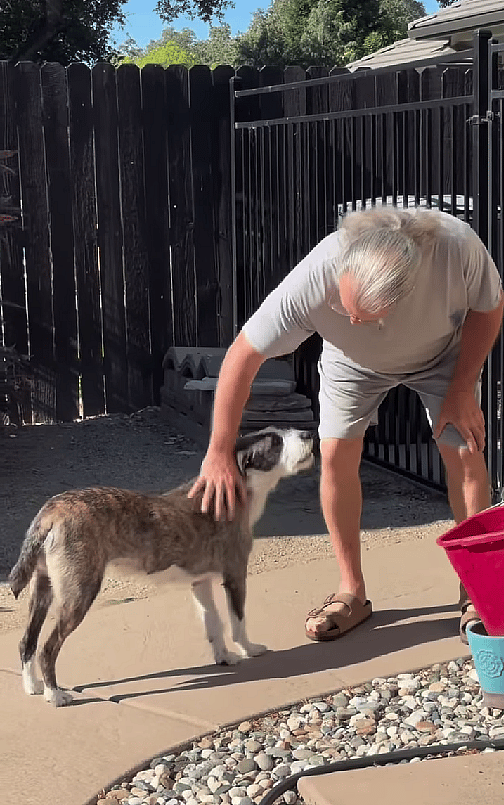 No One Wanted To Adopt Shy Mama Dog, What Happens Next Changes Her Life