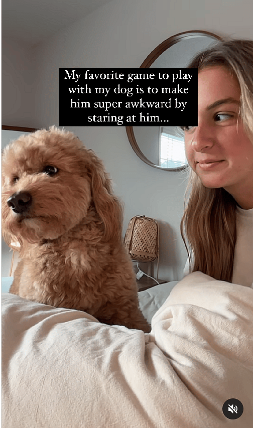 Experts Warn: This Popular Dog Game Could Be Damaging Your Relationship