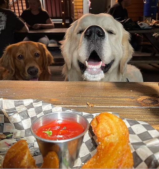 The Rambler - a dog friendly restaurant Portland