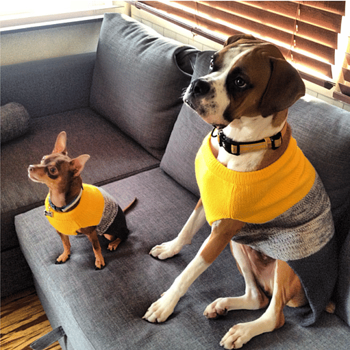 Matching sweaters with my late brother Snoop