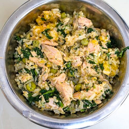 Allergy-Friendly Homemade Dog Food Recipes