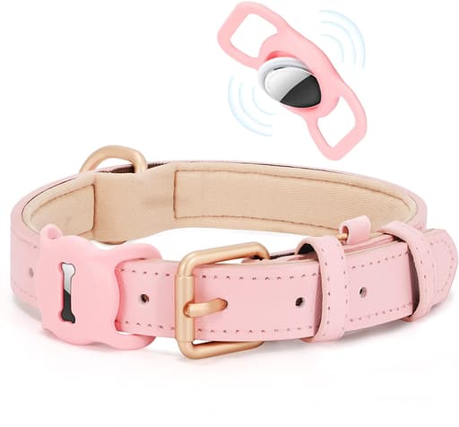 air tag dog collar