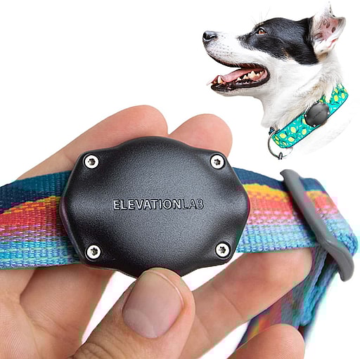 Air tags dog collar