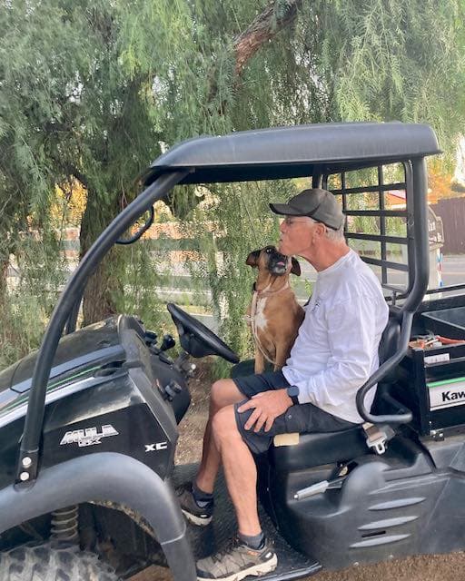 Rescued Senior Dog Dumped in Mexico Now Enjoys a Life Full of Cheeseburgers & Car Rides
