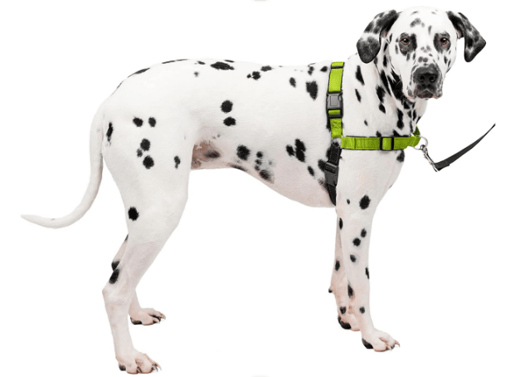 PetSafe Easy Walk Harness