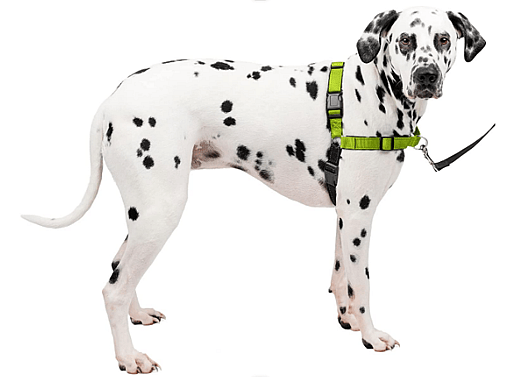 PetSafe Easy Walk Harness