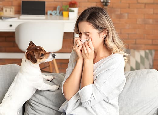 allergy in humans