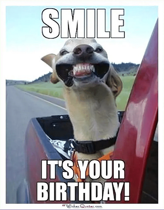 Dog Birthday dog images