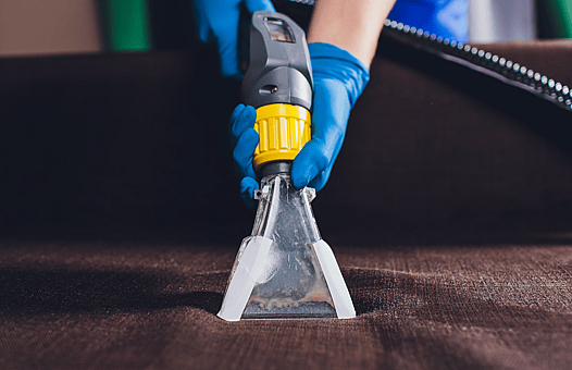 Are Rottweilers Hypoallergenic - Upholstered Furniture