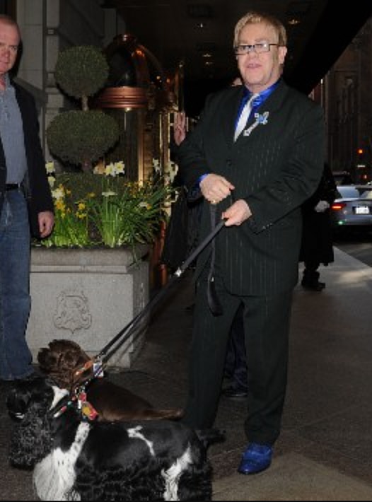 Elton John and his dogs