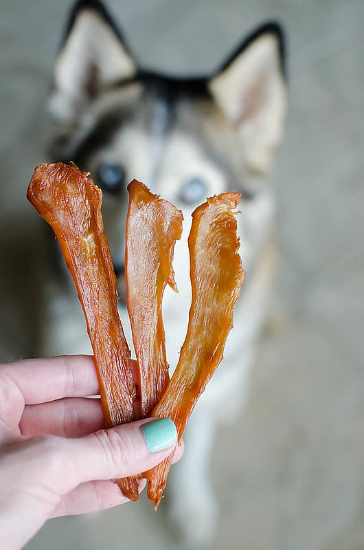 Homemade Chicken Jerky Recipes