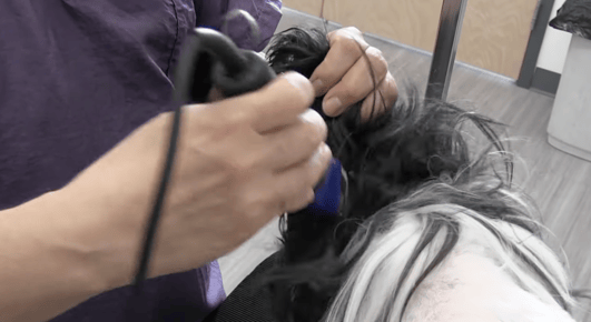 Shaved Shih Tzu