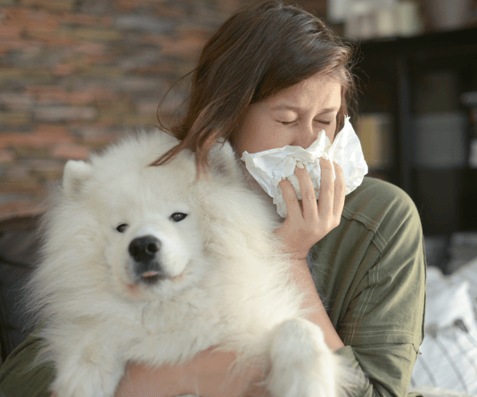 dog allergy