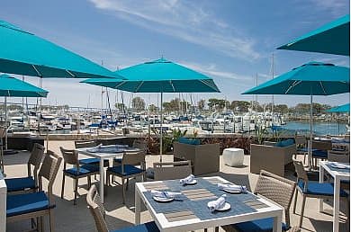 Sally’s Fish House & Bar, best dog friendly restaurant san diego