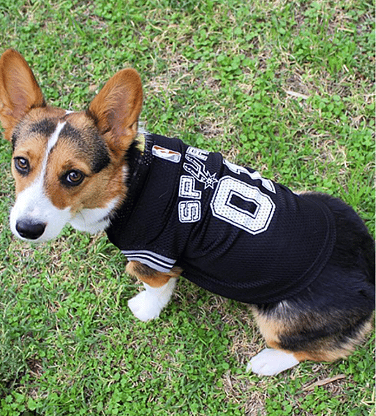 San Antonio Spurs Basketball Dog Names