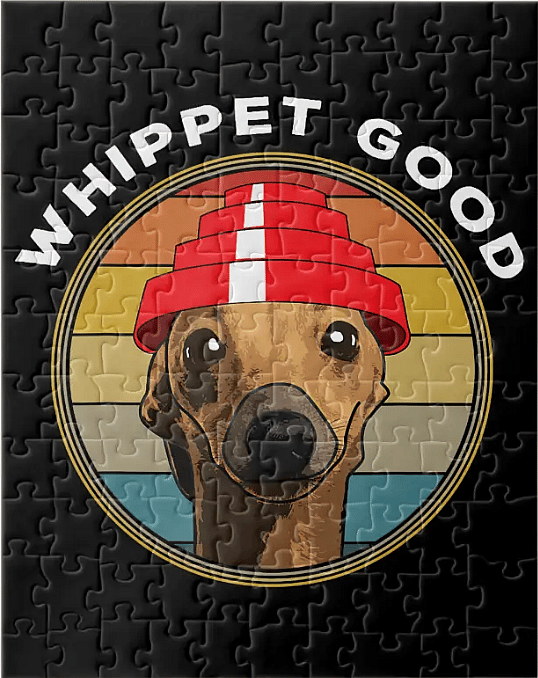 80's inspired musical dog names