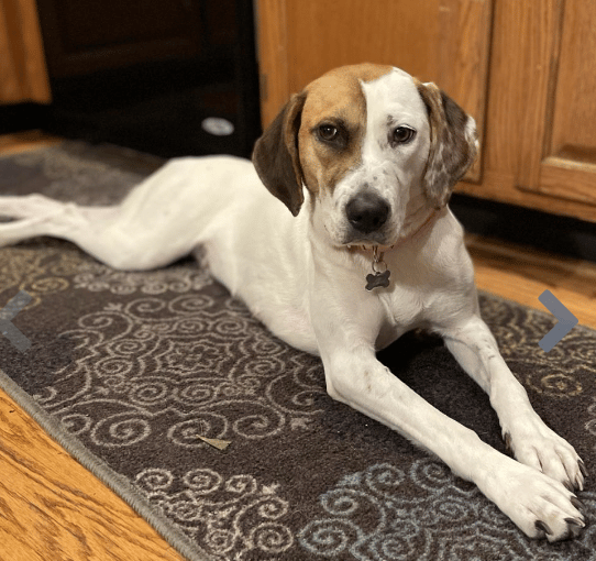 Della