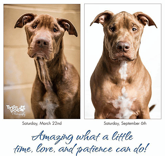 Destiney Before & After