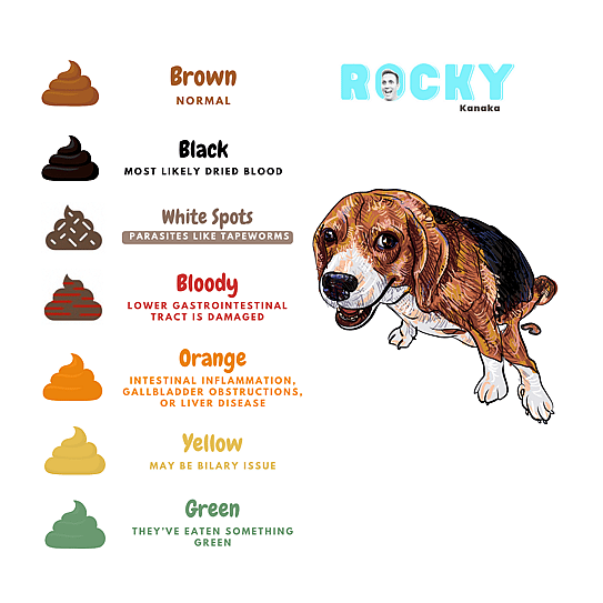 poop colors