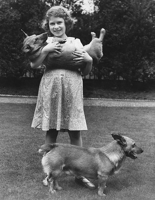 Queen Elizabeth II’s Corgis in her childhood