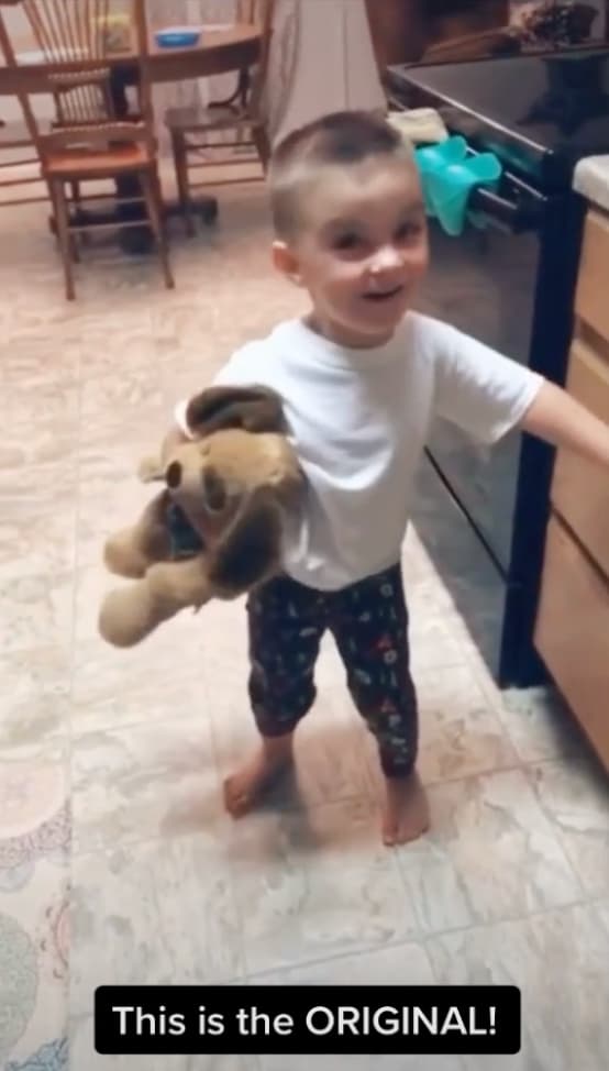 One Good Reason You Should Show Your Kids The “Can I Pet That Dog?” Meme