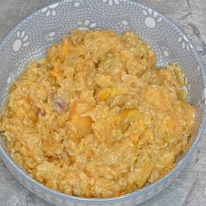 Allergy-Friendly Homemade Dog Food Recipes