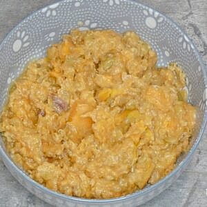 Allergy-Friendly Homemade Dog Food Recipes