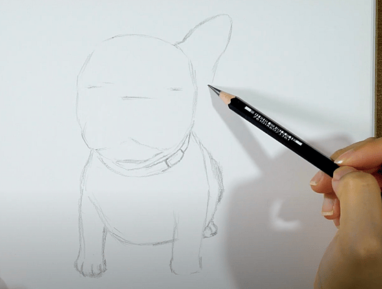 How to Draw a French Bulldog