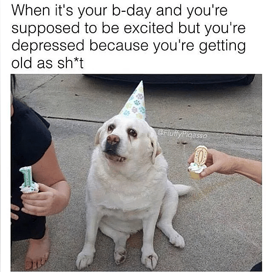 Dog Birthday Meme