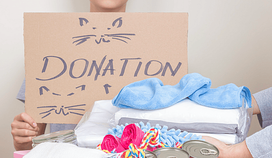 stray dogs - donation