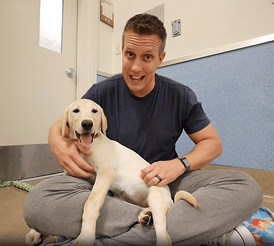 Sitting with dogs - Lindsay