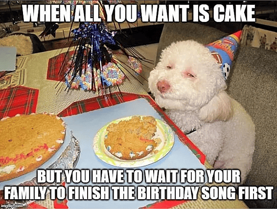 happy birthday dog images