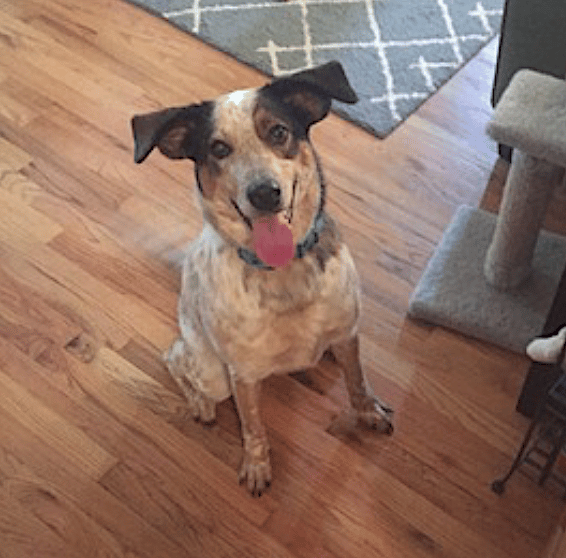 Daisy Mae