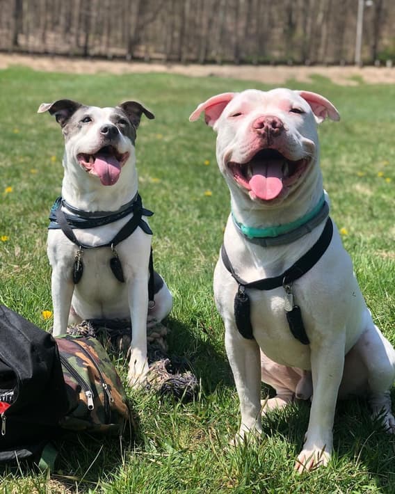 Benny & Sky