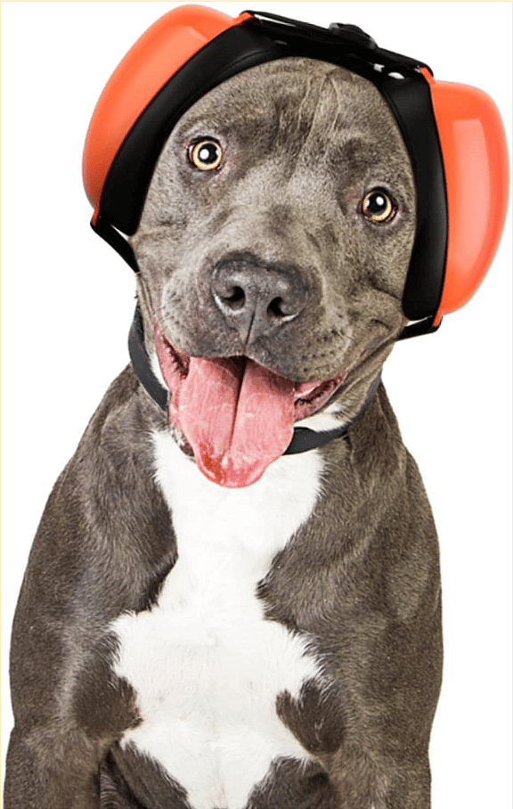 best Noise-Cancelling Headphones for dogs