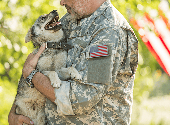 Military Working Dogs