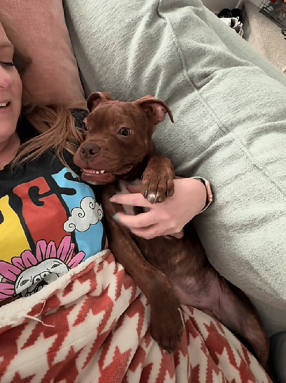 Foster Pup Gets Couch Snuggles for First Time in her Life—And It’s Adorable