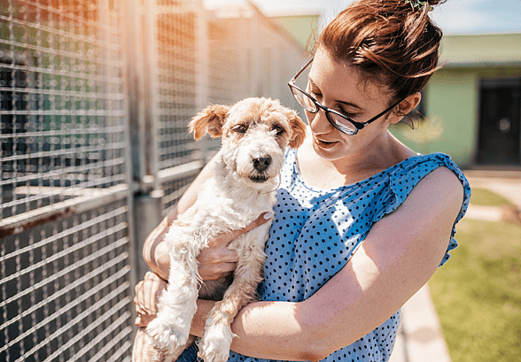 fostering a puppy - puppy national day