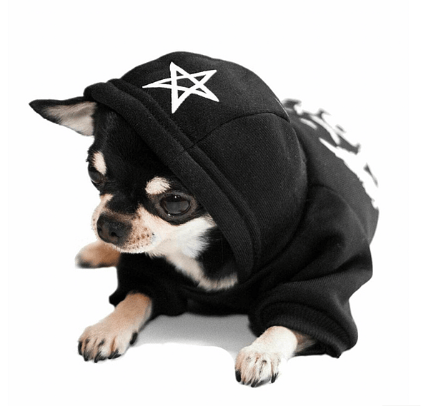 Gothic Names for Dogs