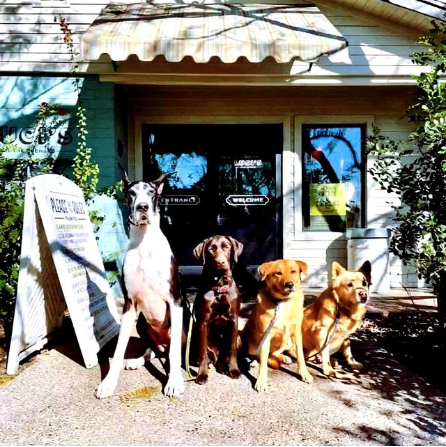 The Main Ingredient Ale House & Café, dog friendly restaurant in Arizona