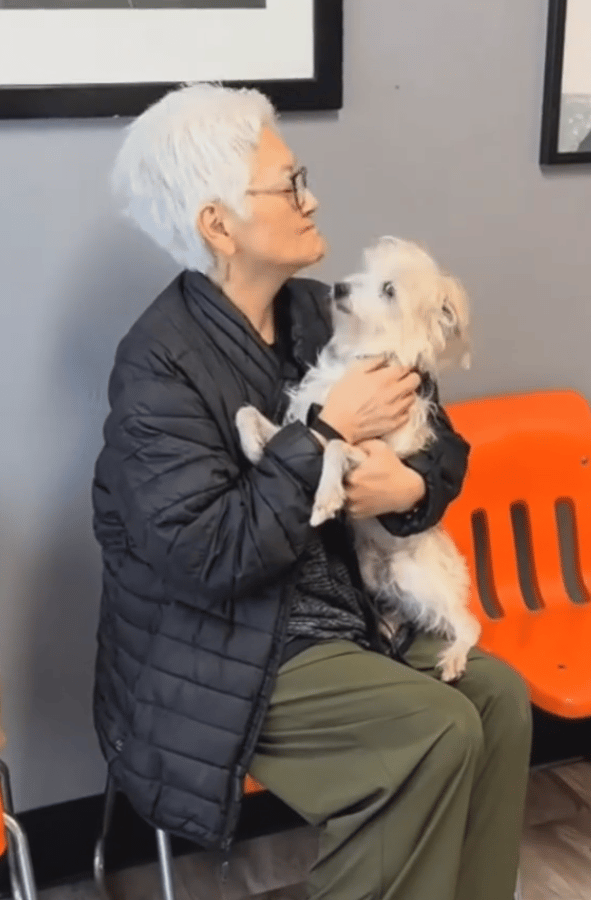 Shelter Dog’s Overwhelming Joy After Finally Finding a Home Will Bring You to Tears