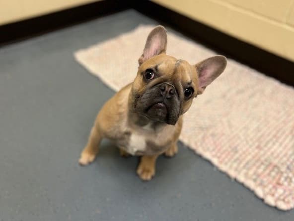 TINY