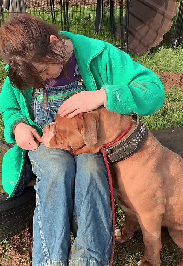 Heartache as Gentle Soul Escapes a Dog Fighting Ring—But What Happened Next Is Even Worse