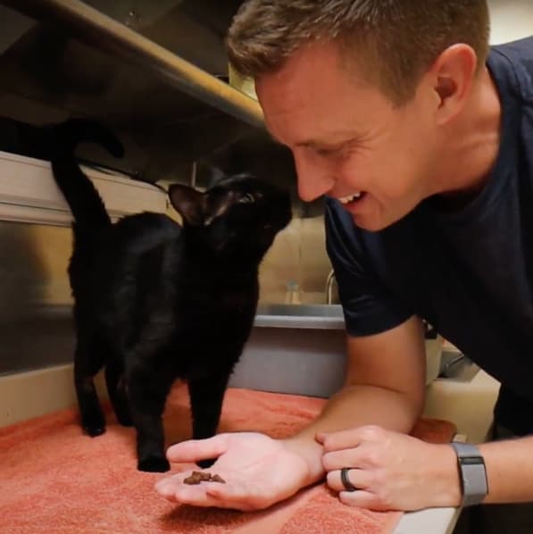 Harmon the Black Cat